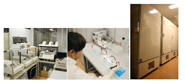 デルタクリニックの遺伝子検査室と－８０℃の冷凍庫室